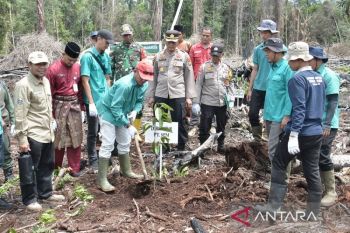 PT Sakato Pratama Makmur rehabilitasi kawasan konservasi pascakebakaran