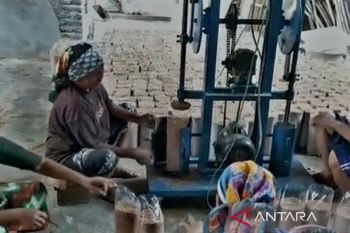 Program Kemendiktisaintek sasar pembudi daya jamur di Situbondo