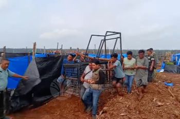 Serangan harimau di Pelalawan, BBKSDA Riau pasang kandang perangkap