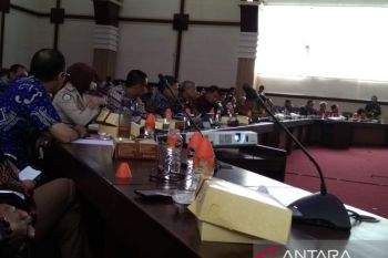 Pakar: Rangkap jabatan Plt di pemda bisa berisiko hukum