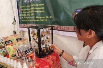 Diskominfo Papua siapkan CMS perluas pemasaran UMKM