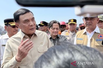 Indonesia confident Kalimantan's&nbsp;forest, land fires can be contained