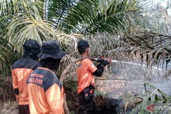 BPBD Muara Enim padamkan karhutla di Gelumbang dari jalur udara