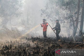 BPBD Palangka Raya tangani 130 kejadian kebakaran lahan hingga 31 Juli