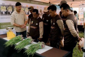 Syngenta Indonesia dorong inovasi pertanian berkelanjutan