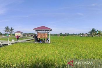 DPTPH Kaltim perkuat sinergi antarsektor susun peta ketahanan pangan