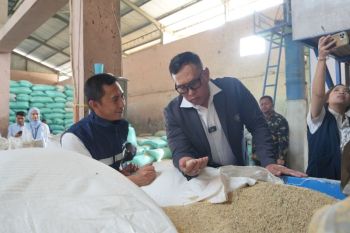 Perum Bulog ajak penggilingan padi tingkatkan standar pengolahan
