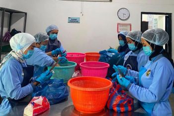 SPPG Santua Barangin Sawahlunto tingkatkan standar pengelolaan dan pelayanan MBG