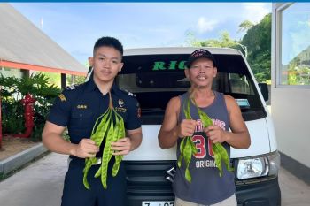 Bea Cukai Jagoi Babang fasilitasi ekspor 306,8 ton petai ke Malaysia