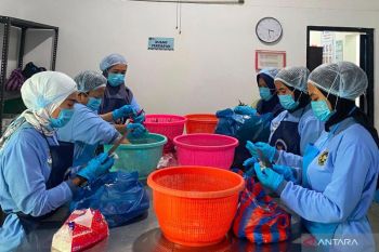 SPPG Santua Barangin Sawahlunto tingkatkan standar pengelolaan MBG