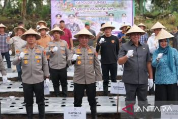 Polda Sumsel jalankan program ketahanan pangan,  tanam 1,4 ton bibit bawang putih di Pagaralam