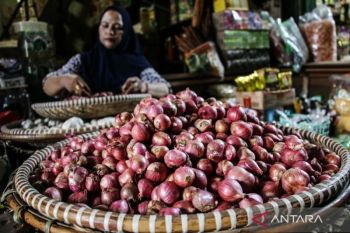 Harga telur ayam Rp29.650/kg, bawang merah Rp40.450/kg