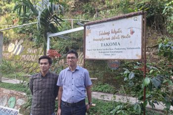 BI bangun ekosistem desa wisata lewat integrasi kopi, madu, dan pokdarwis