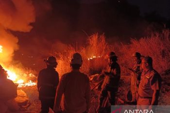 Disdamkar Bandung catat ada 88 kebakaran lahan hingga Juli 2026