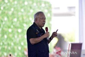 IKN akan dijadikan percontohan rehabilitasi mangrove