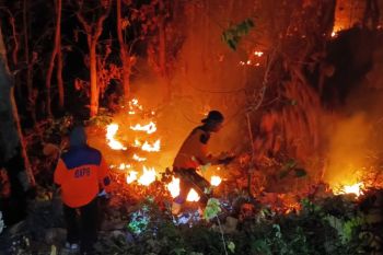 Kebakaran hutan dan lahan di perbatasan Situbondo-Bondowoso capai 4 hektare