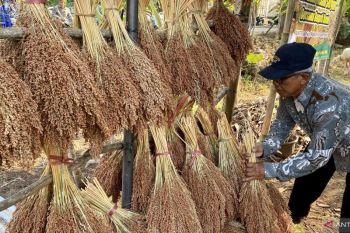 Pemkab Bantul siapkan ribuan pompa cegah gagal panen akibat kemarau