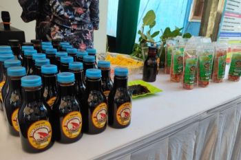 Buah mangrove jadi cuan