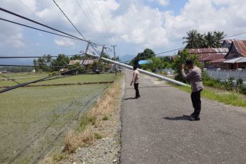 PLN percepat pemulihan belasan tiang listrik roboh di Parimo