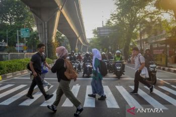 Pejalan kaki nilai "zebra cross" lebih mendesak dibanding bangun JPO