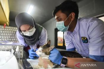 Jaksel catat mobil klinik hewan layani 226 ekor kucing hingga domba