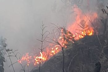 Sebagian akses Bromo ditutup imbas kebakaran Blok Bantengan