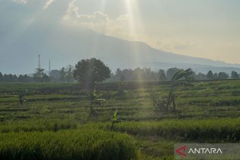 Kabupaten Kuningan lakukan Program Optimalisasi Lahan 725 ha pada 2026 untuk pertanian
