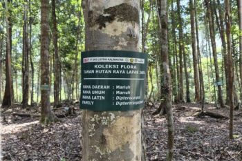 PT SKS Listrik Kalimantan dorong pelestarian biodiversitas melalui Program RIMBA