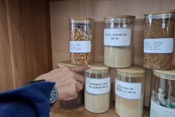 BPS catat neraca perdagangan luar negeri Lampung surplus 533,60 juta dolar AS