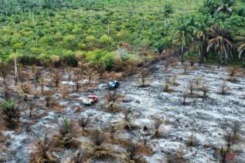 Karhutla di Gelumbang Muara Enim sudah padam total