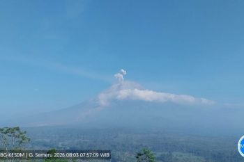 Semeru lima kali erupsi dengan tinggi letusan hingga 700 meter
