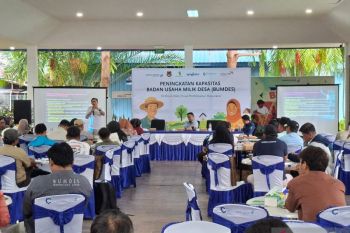 DSLNG tingkatkan kemandirian desa lewat peningkatan kapasitas pengelola BUMDes