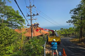 HUT Ke-81 RI, PLN UID Yogyakarta perkuat jaringan listrik di Gunungkidul