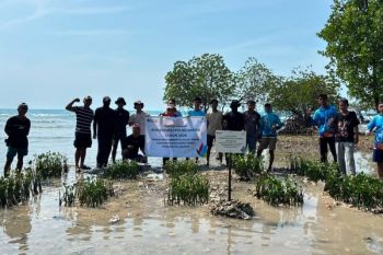 Program konservasi Pulau Sabira PLN raih penghargaan nasional