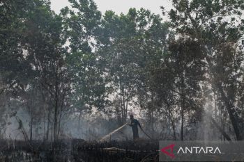 Palangka Raya Tanggap Darurat Karhutla hingga 10 Agustus