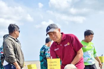 Penanaman bakau perkuat komitmen pelestarian pesisir Belitung