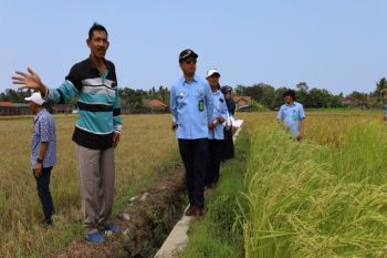 Kulon Progo mempercepat pengadaan TKD Palihan terdampak pembangunan YIA