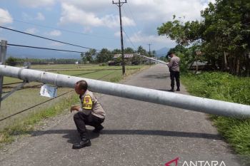PLN pastikan pasokan listrik tetap andal di Kasimbar imbas tiang roboh