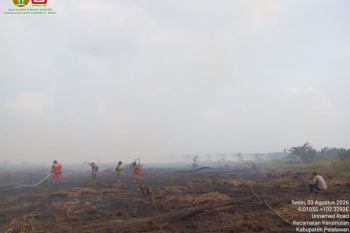 Manggala Agni terkendala sumber air padamkan karhutla hampir 50 hektar di Riau