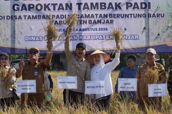 Bupati Banjar tegaskan komitmen jaga ketahanan pangan