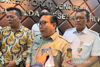 Kementan-industri pakan tunda kenaikan harga lindungi peternak ayam