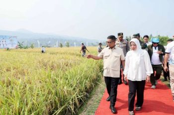 DPKP Pandeglang ajukan pengadaan pompa air untuk atasi kekeringan