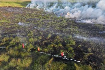 Manggala Agni lakukan pemadaman lanjutan karhutla di empat lokasi Sumsel