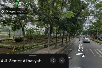 Dedi Mulyadi akui pohon di Gasibu hilang karena halaman Gedung Sate ditata: Pohonnya kecil