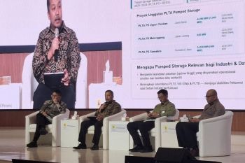 Bappenas: Kesiapan proyek jadi kunci percepat investasi PLTA