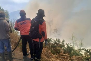 BPBD: Kebakaran di Bromo mulai menjalar ke arah Malang