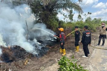 Pemkab Murung Raya segera tetapkan status siaga karhutla