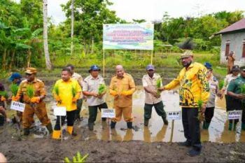 NTP Perkebunan Rakyat Papua naik 1,47 persen pada Juli 2026