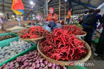 BPS sebut perekonomian Papua Barat triwulan II-2026 tumbuh 3,41 persen