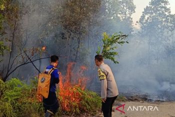 Pemkab Bangka Barat perkuat koordinasi lintas sektor cegah karhutla